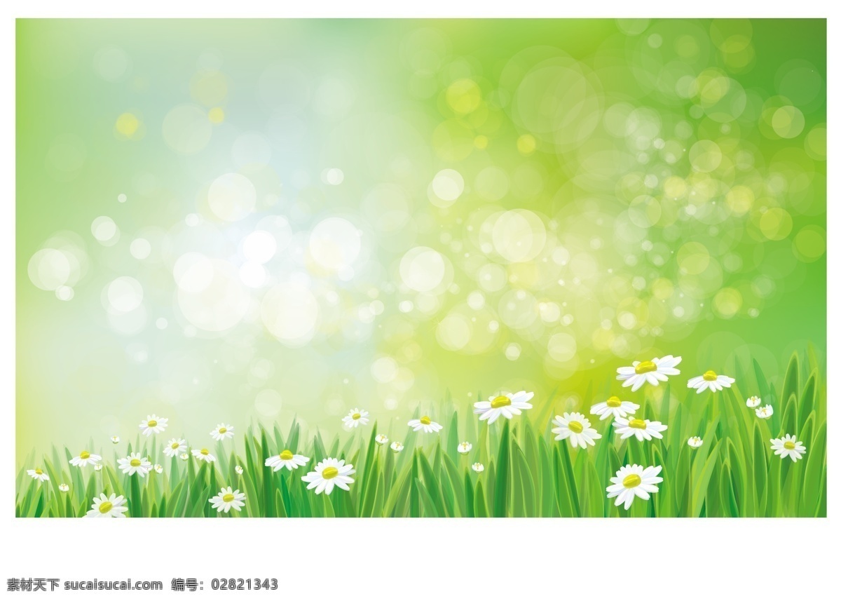 春天的草地 春天 花朵 菊花 草地