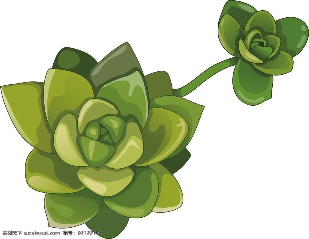 手绘 风 绿色 肉 植物 插画 多肉 卡通 花草