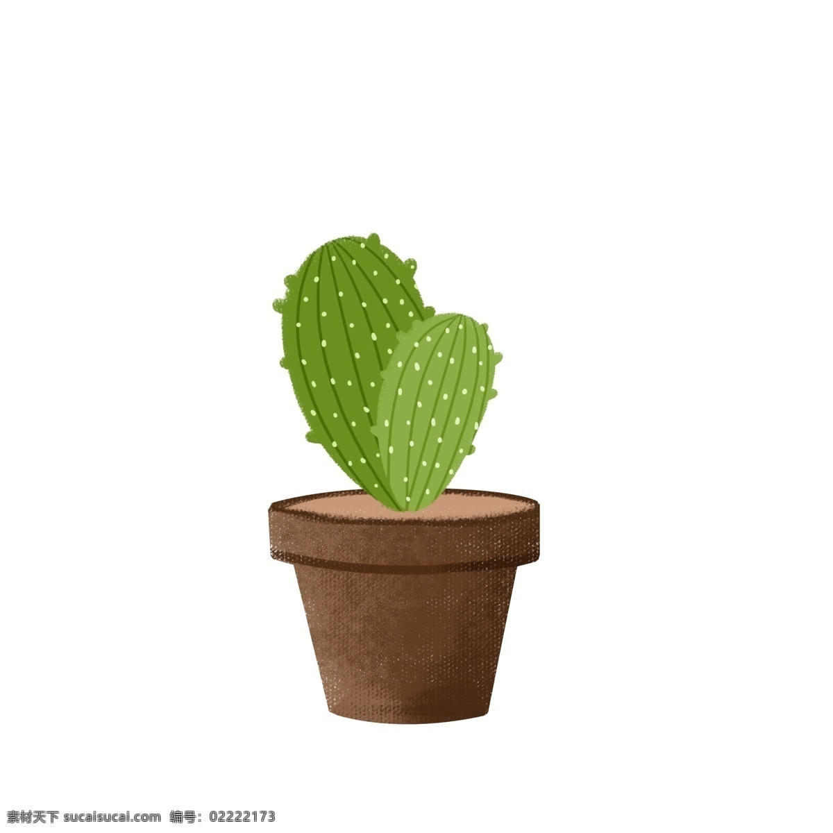 植物 仙人掌 盆栽 元素 绿色