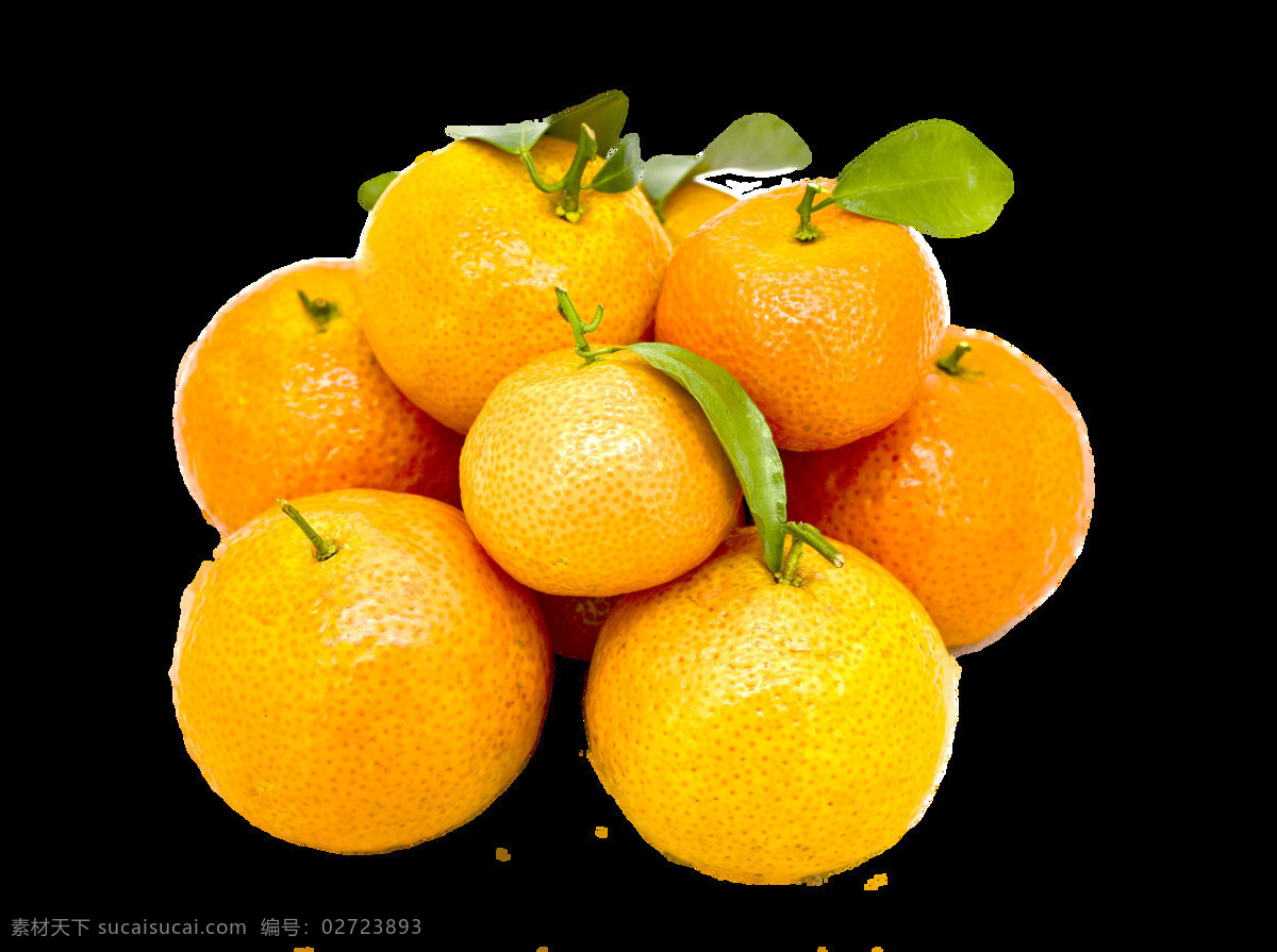 砂糖橘图片 砂糖橘 沙糖桔 砂糖桔 小蜜橘 小砂糖橘 橘子 蜜桔 广西砂糖橘 冰糖橘 金桔 桔子 生物世界 水果