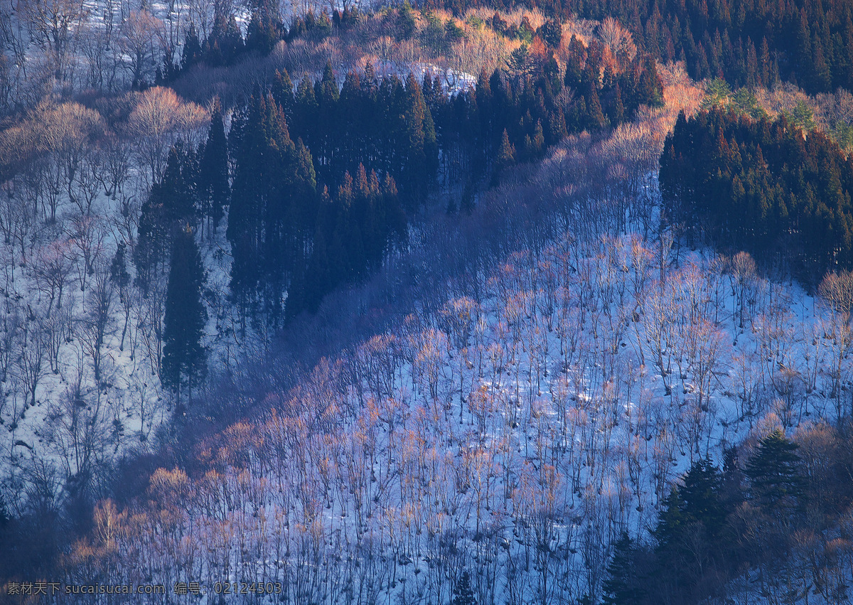 冬天元素 冬天 冬天素材 冬季 冬季元素 冬季素材 冬季背景 雪山素材 山脉 山峰 风景 自然风景 大自然 景观 雪山背景 雪背景 蓝天 树木 树林 湖水 水面 植物树木 自然景观