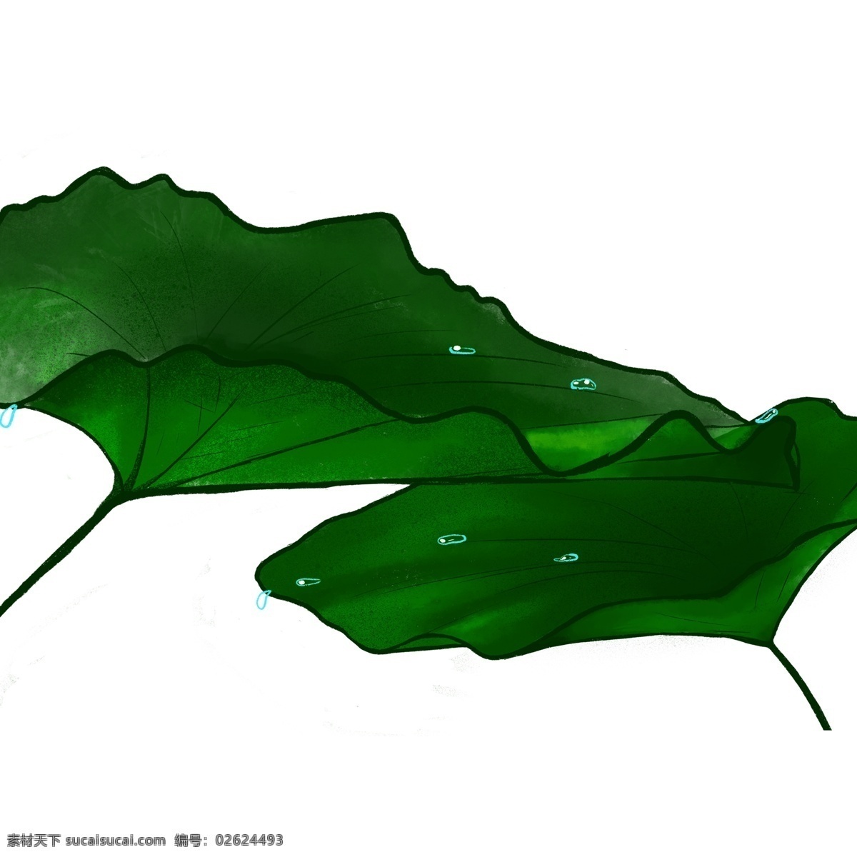 清新 深绿色 荷叶 装饰 元素 装饰元素 手绘 植物 露珠 水滴 荷塘 夏季
