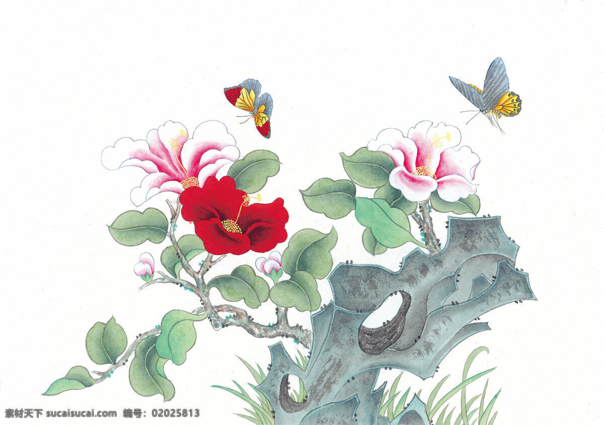 国画花卉 花卉 白描 工笔花卉 工笔画 国画素材 文化艺术 绘画书法