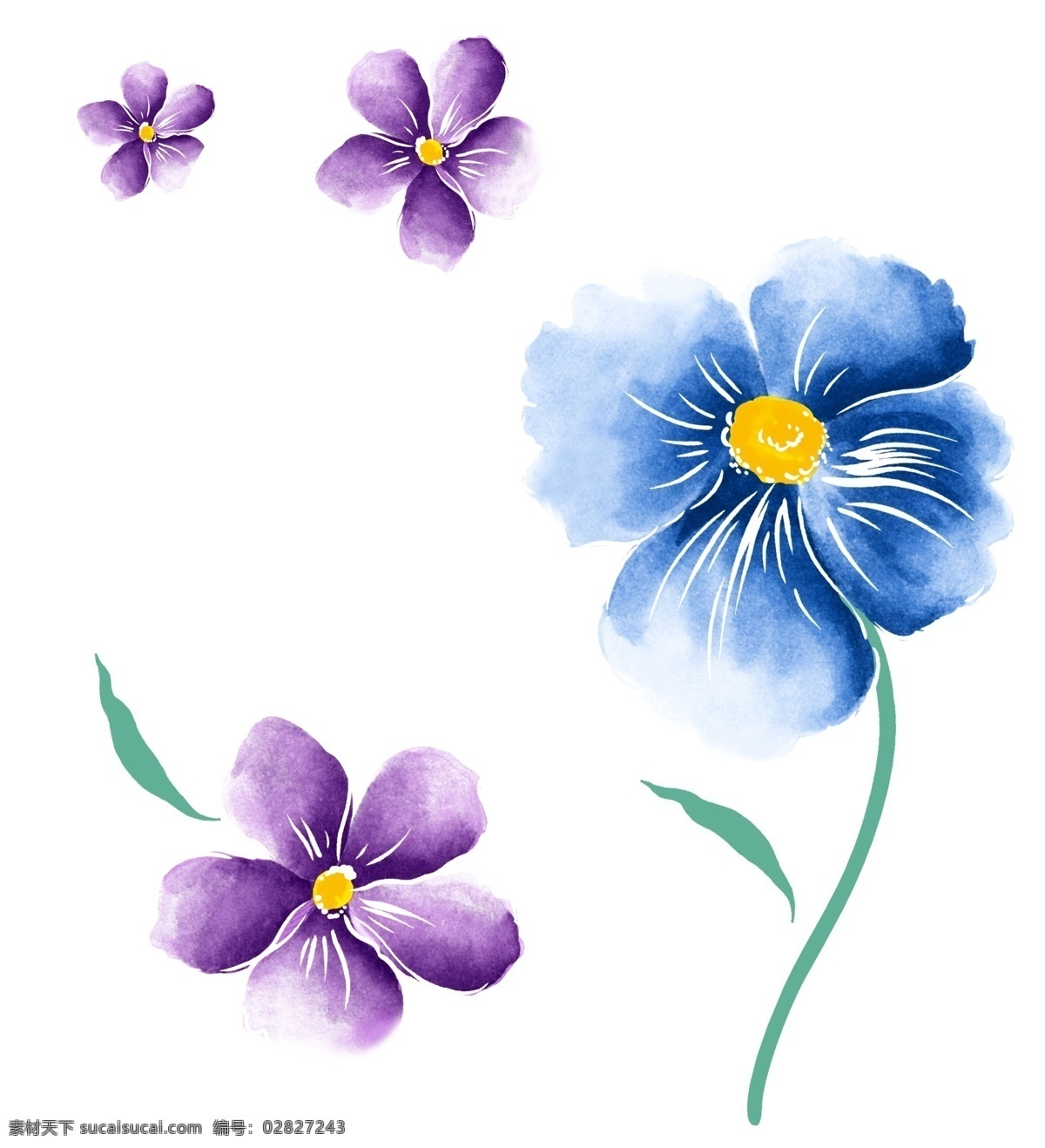 水彩 花 水彩花朵 设计素材 分层 源文件