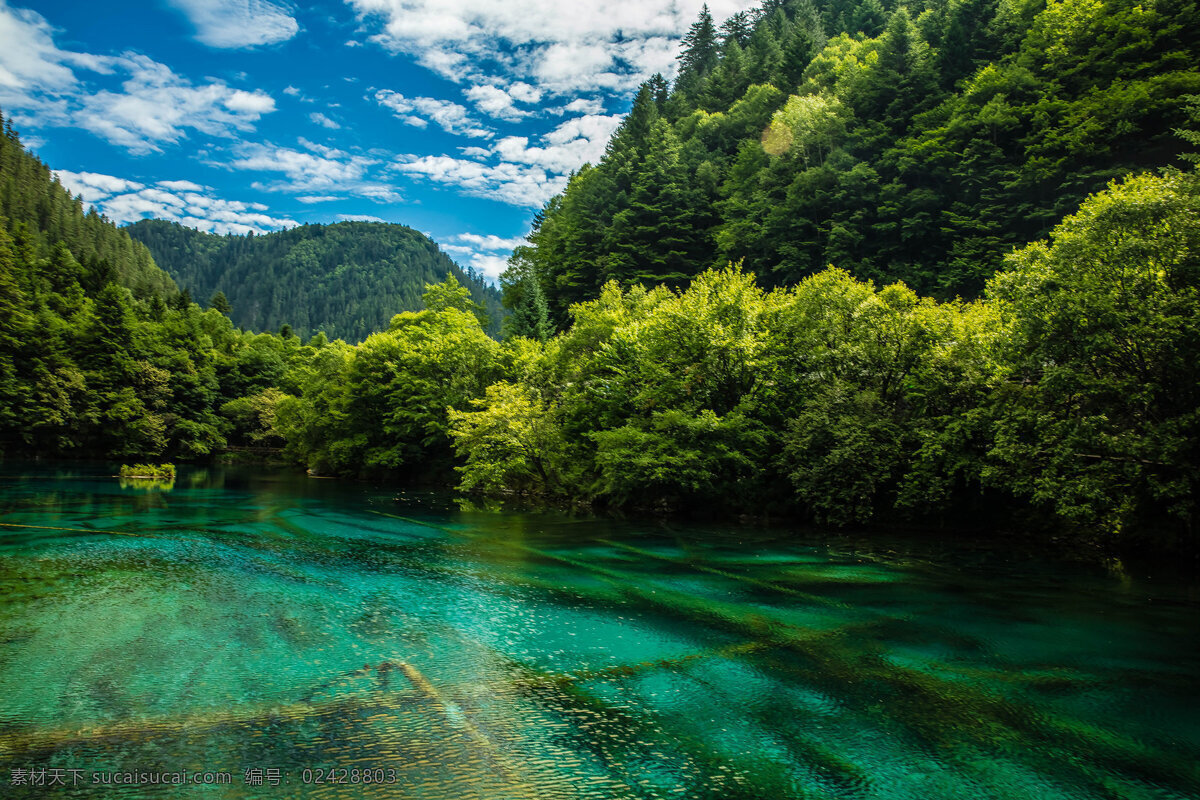 夏日 四川 九寨沟 风景