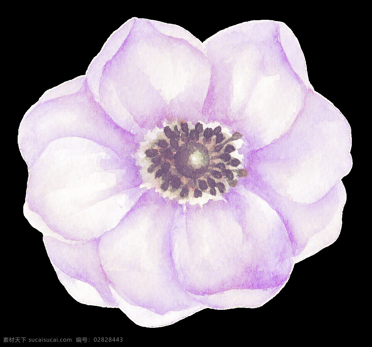 淡紫色 美丽 花朵 透明 装饰 海报设计装饰 卡通 免扣 设计素材 水彩 淘宝素材 透明素材 装饰图案