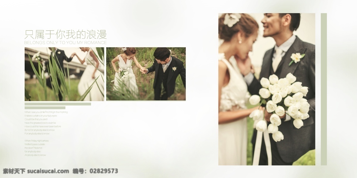 婚纱模版 婚纱psd 结婚外景素材