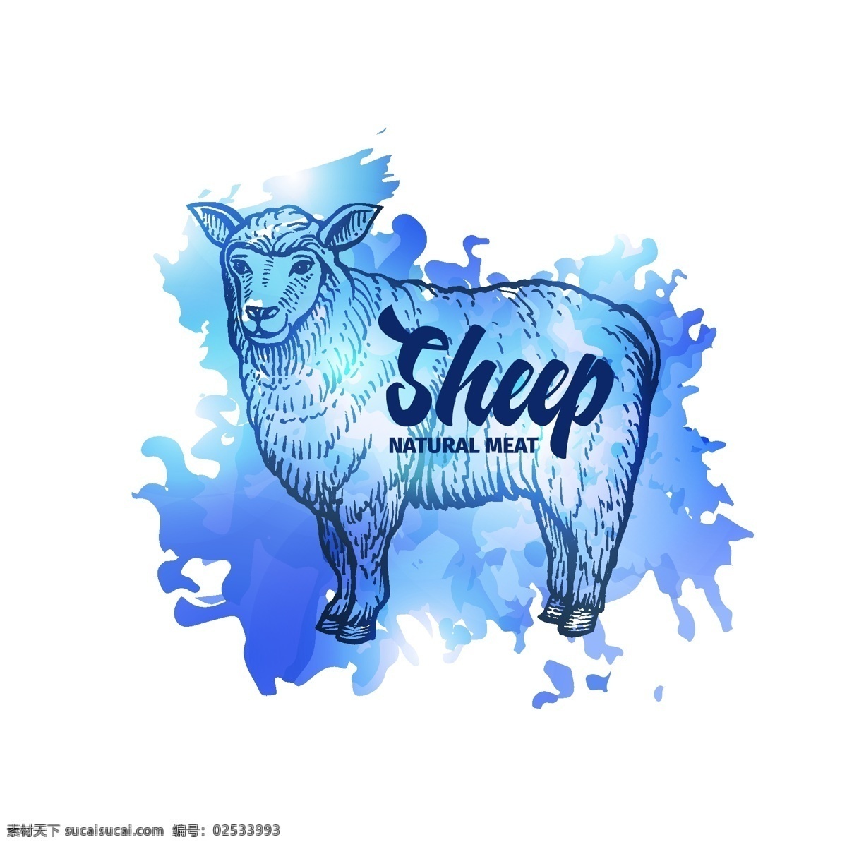 手绘 素描 羊 天然 肉 背景 向量 错觉 农业 动物 绵羊 肉类 牛肉 飞溅 物 艺术 孤立 单一 奶牛