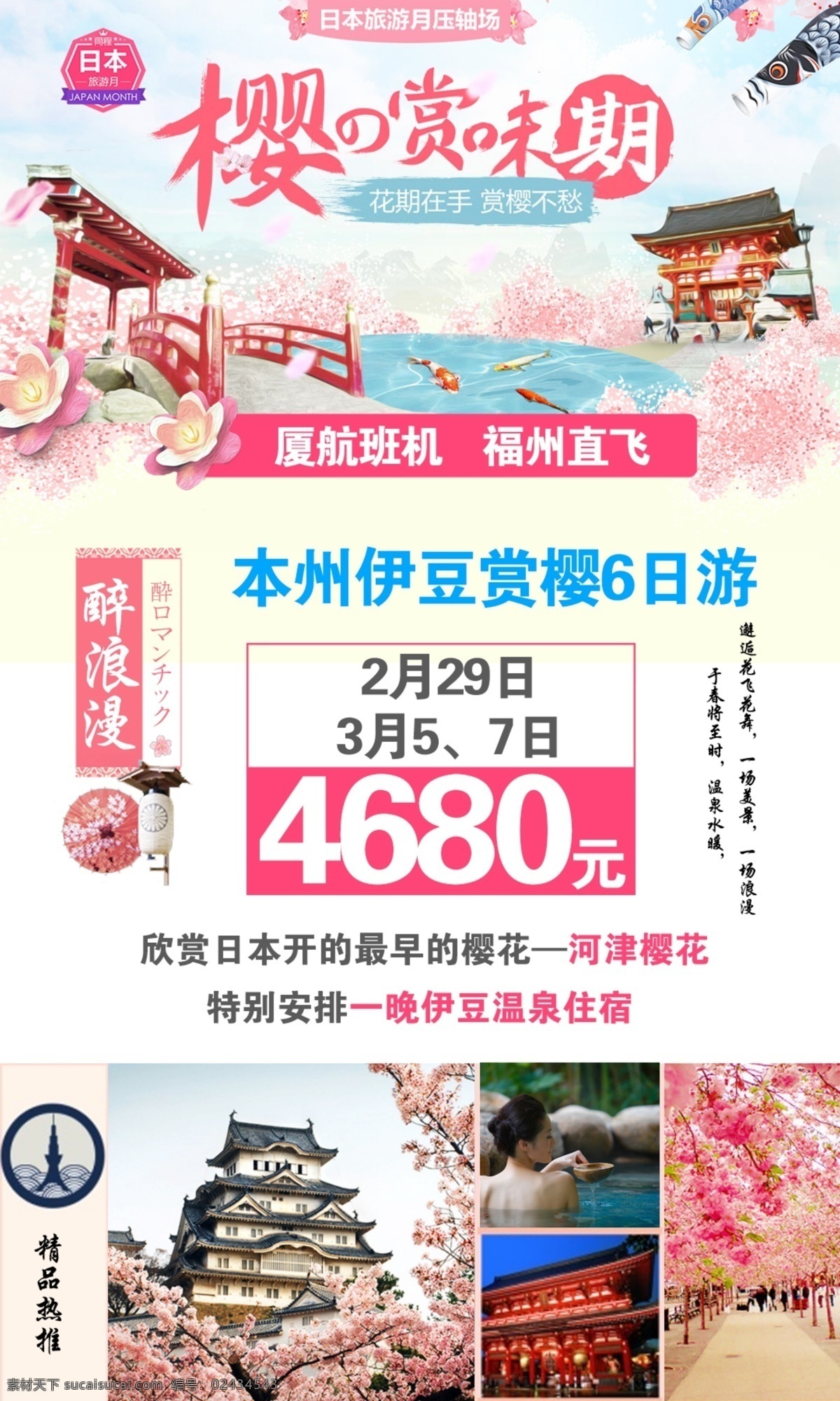 日本赏樱之旅 日本游 樱花 旅游 白色
