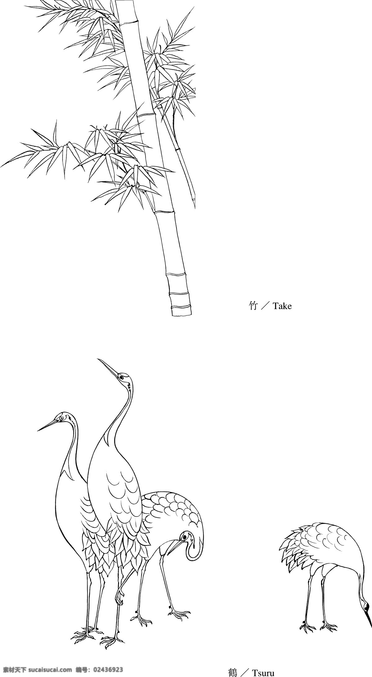 线描 竹子 鹤 矢量 线描竹子 矢量素材 花卉 线描花卉 矢量花卉 实用素材 底纹边框 花边花纹 线描矢量素材 白色