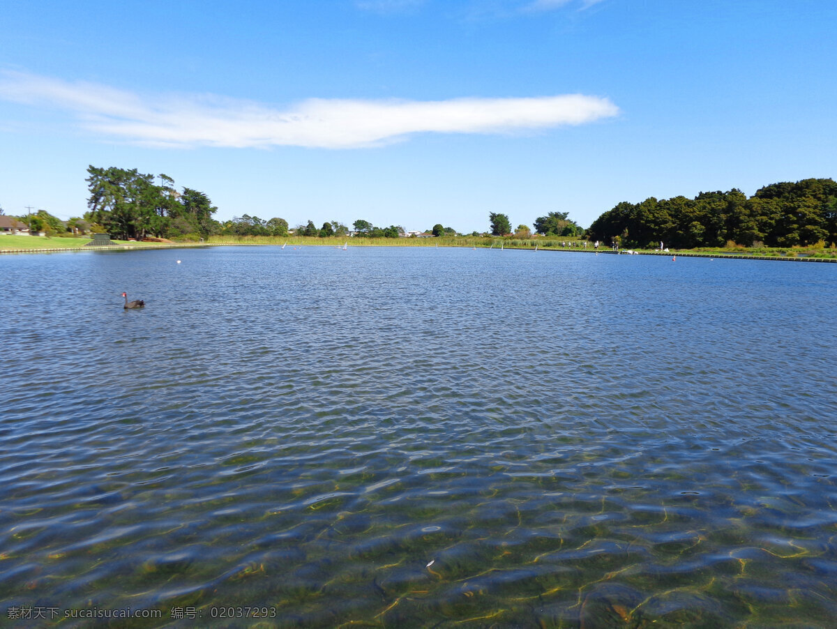野鸭湖风景 蓝天 白云 绿树 绿地 草地 野鸭湖 湖水 野鸭子 戏水 新西兰风光 国外旅游 旅游摄影 蓝色