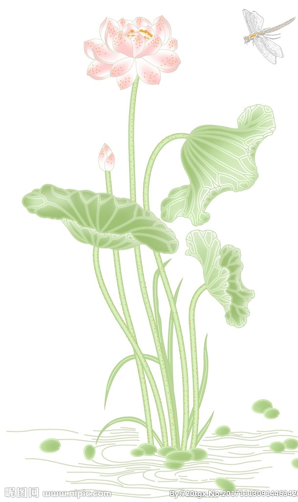 花片 腰线 底纹 背景 花边 花纹 边框 墙纸 墙布 移门 分层图 花朵 工笔 无框画 装饰画 背景画 荷花 莲花 蜻蜒 分层