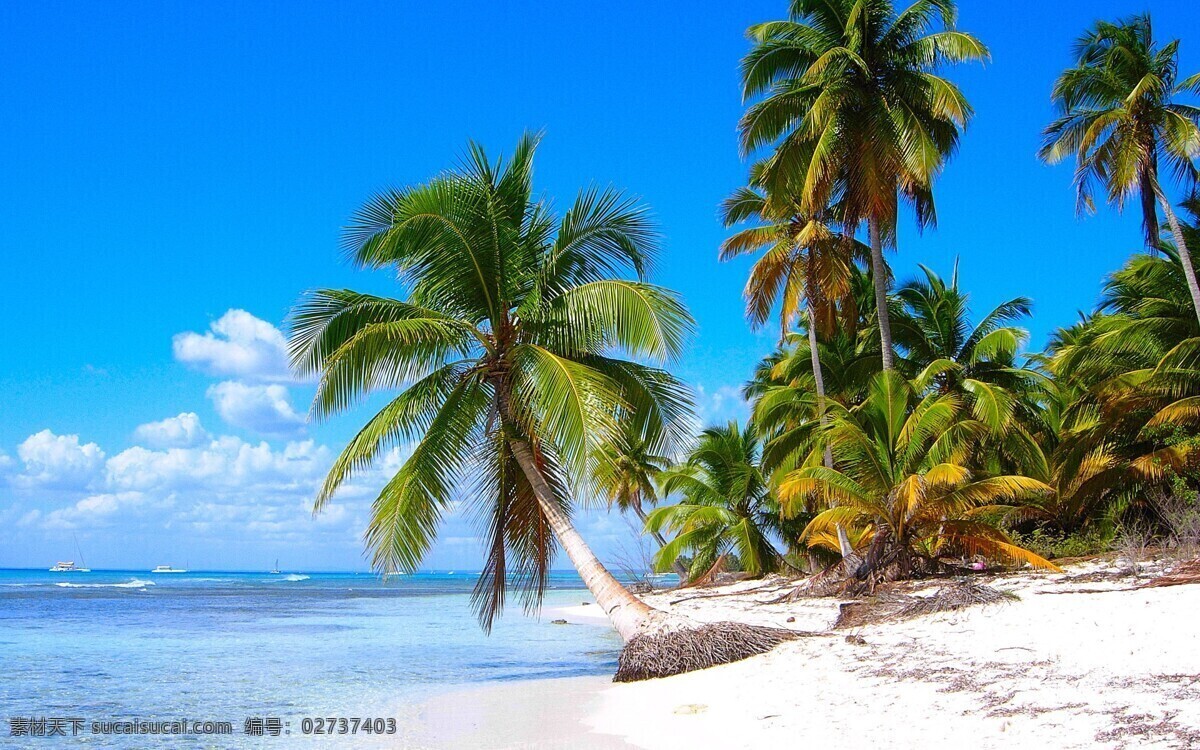 碧海蓝天 碧海 蓝天 沙滩 椰树 风景 生活 旅游餐饮