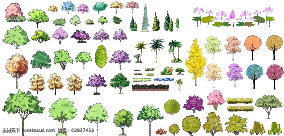 手绘立面植物 手绘立面 手绘植物 psd立面图 手绘植物素材 环境设计 景观设计