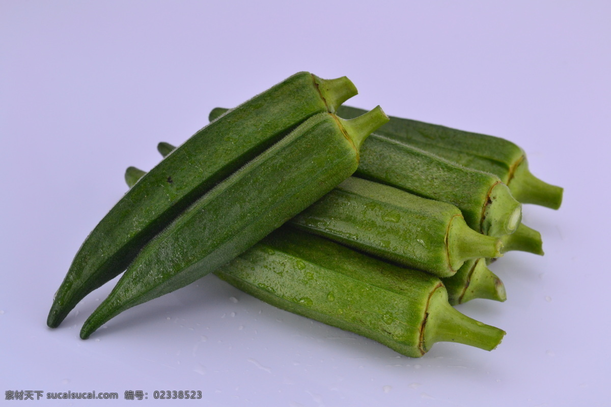 新鲜黄秋葵 新鲜 黄秋葵 生鲜水果 秋葵果实 生物世界 蔬菜