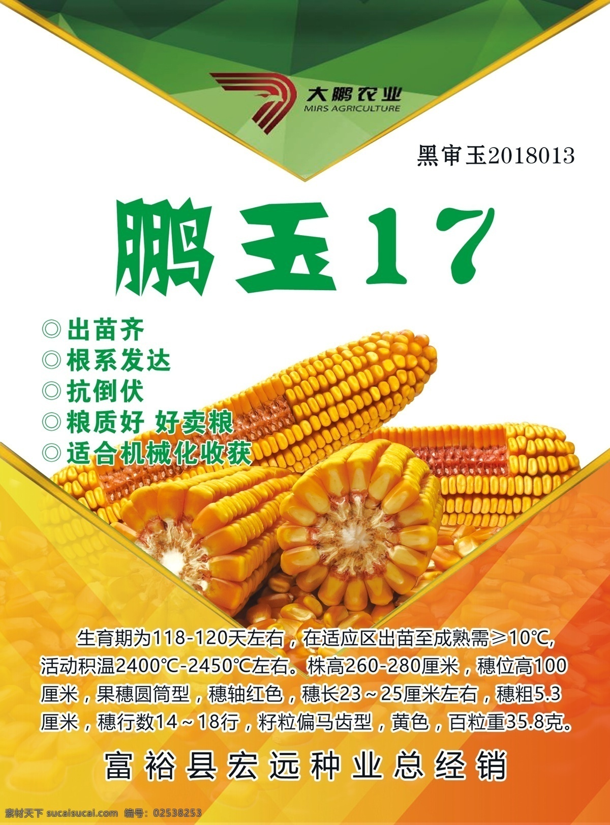 鹏玉17 玉米 种子 玉米种子 玉米粒 玉米棒 灯箱片 黑土地
