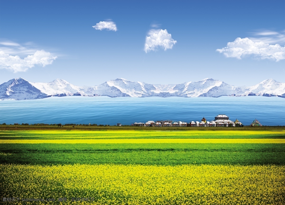 美丽的青海湖 油菜花 湖水 湖 雪山 青海 蒙古包 蓝天 分层