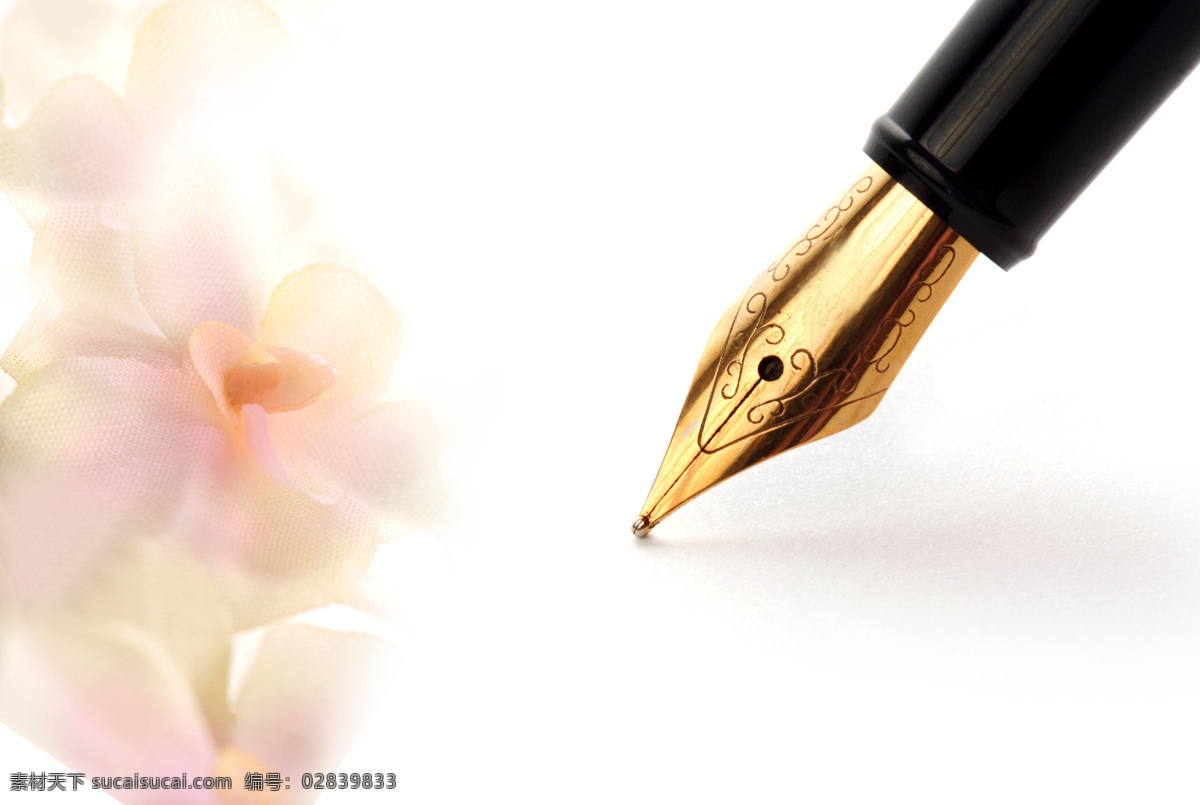 梦幻 鲜花 钢笔 梦幻鲜花背景 花朵 梦幻背景 温馨浪漫背景 其他类别 生活百科