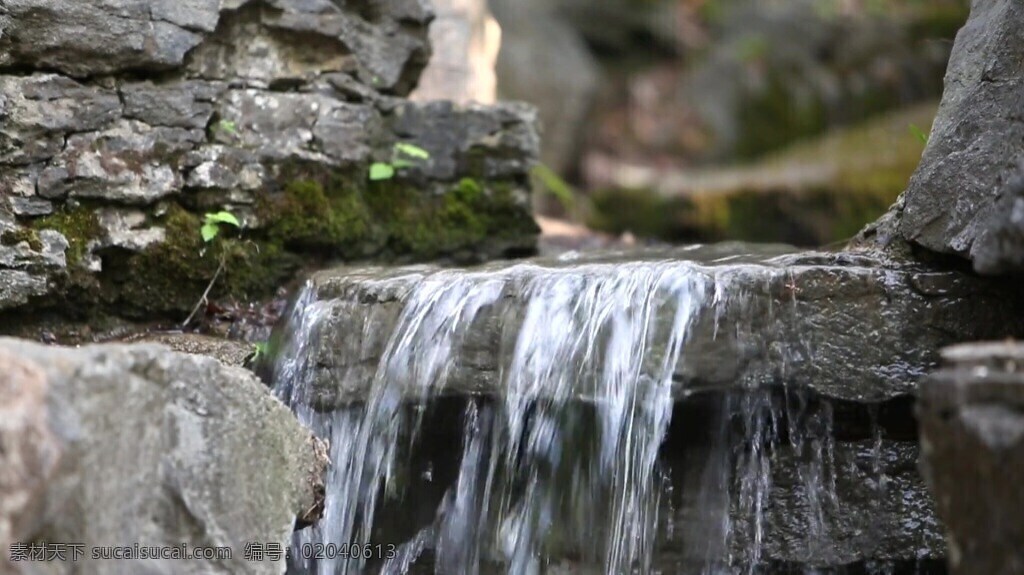 小溪 水流 视频 水流视频素材 水流视频 小溪视频 实拍视频 视频素材