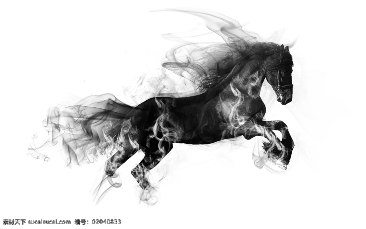 水墨马 水墨 马 内蒙古 兴安盟 乌兰浩特 生物世界 野生动物