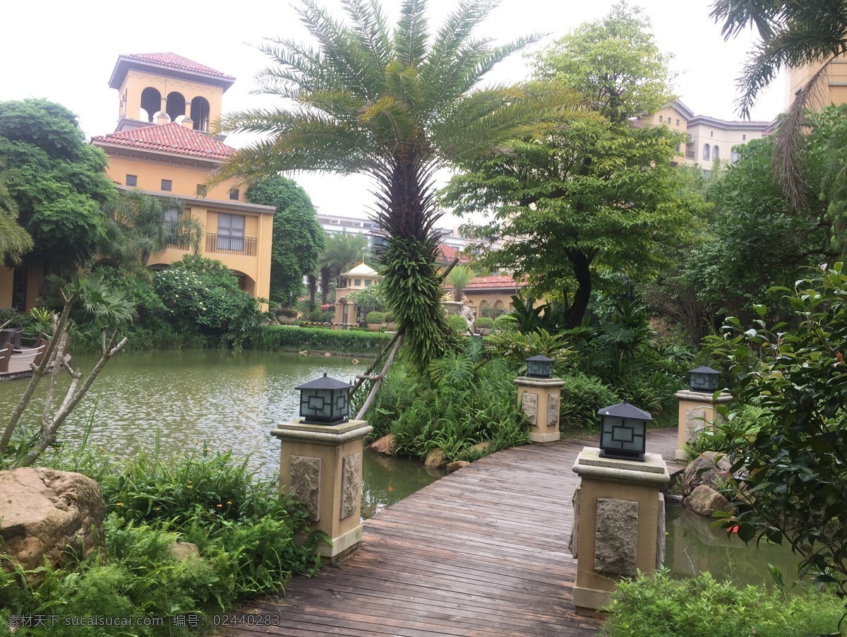 小区风景 小区 风景 一角 植物 绿色 生活百科 生活素材