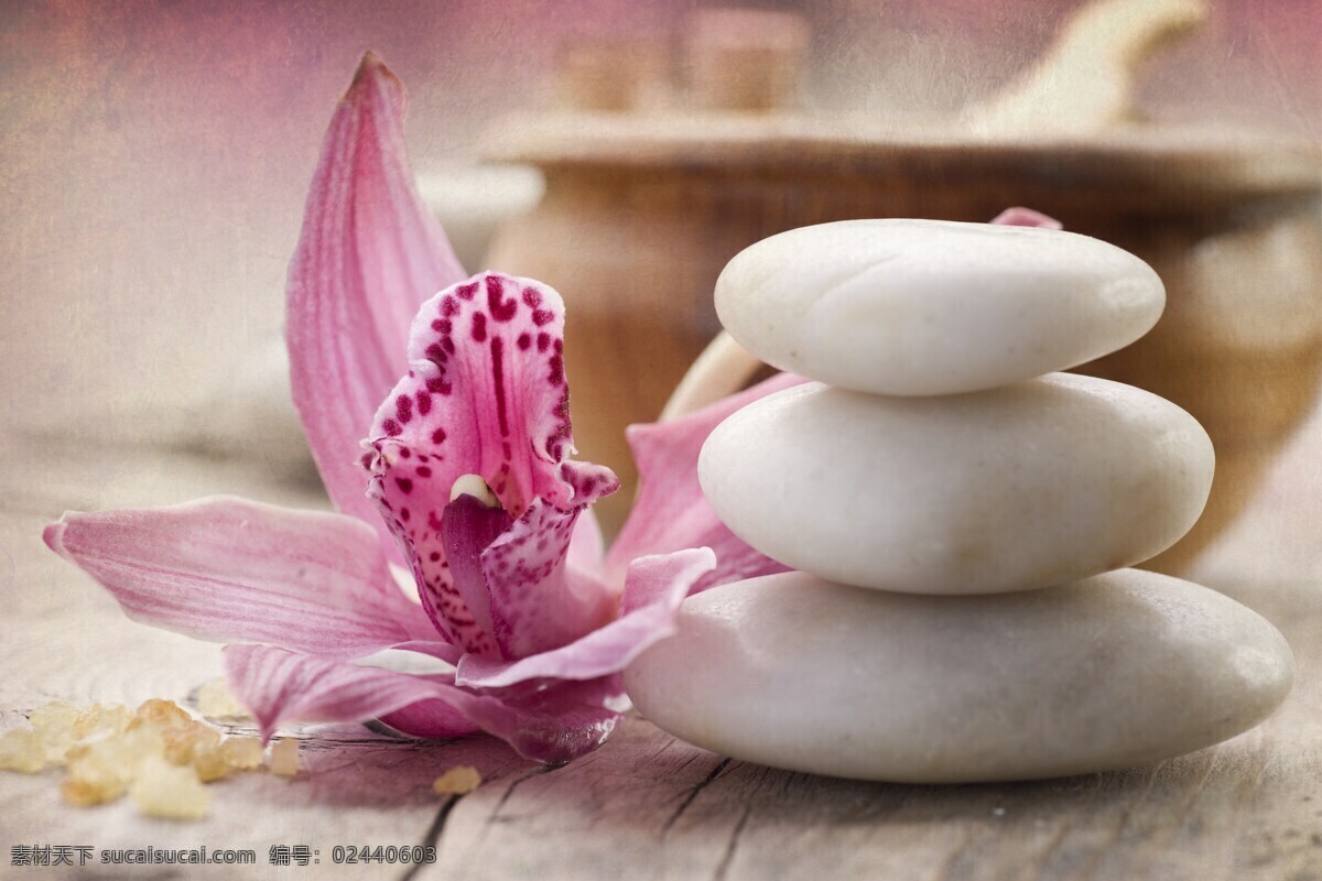 spa美容 鲜花 花朵 水珠 磁石 按摩石 鹅卵石 spa 美容 水疗 生活百科 生活素材