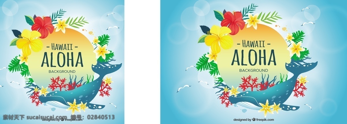 鲸鱼 aloha 背景 花卉 圆 蓝色背景 夏季 花卉背景 蓝色 树叶 热带 平 平面设计 圆形背景 夏威夷 季节 热带花卉