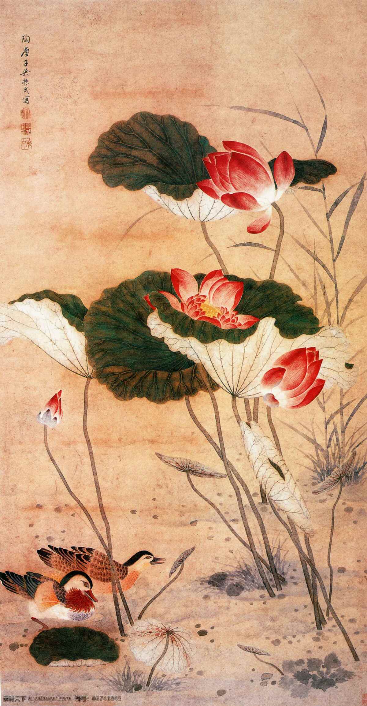 国画荷花 国画 荷花 花卉 花 荷叶 壁画 国画专辑 文化艺术 绘画书法