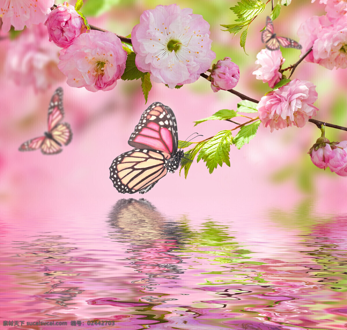 鲜花 蝴蝶 水 纹 水纹 叶子 植物 动物 梦幻背景 花草树木 生物世界