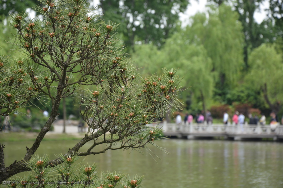 江苏省 扬州市 瘦西湖 热门旅游景点 国内摄影景点 山水风景 游船 自然景观 花草树木 扬州瘦西湖 旅游摄影 国内旅游