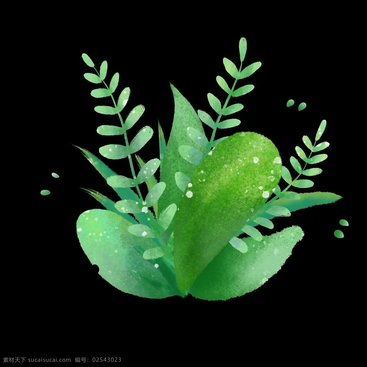 夏季 清新 绿色植物 水彩 植物 免 抠 图 水彩绿色植物 夏季树叶 绿色手绘插画 淡彩手绘 季节海报装饰