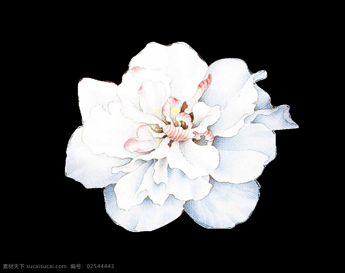 手绘 朵 简洁 花朵 透明 白色 粉红色 花瓣 免扣素材 透明素材 植物 装饰图片
