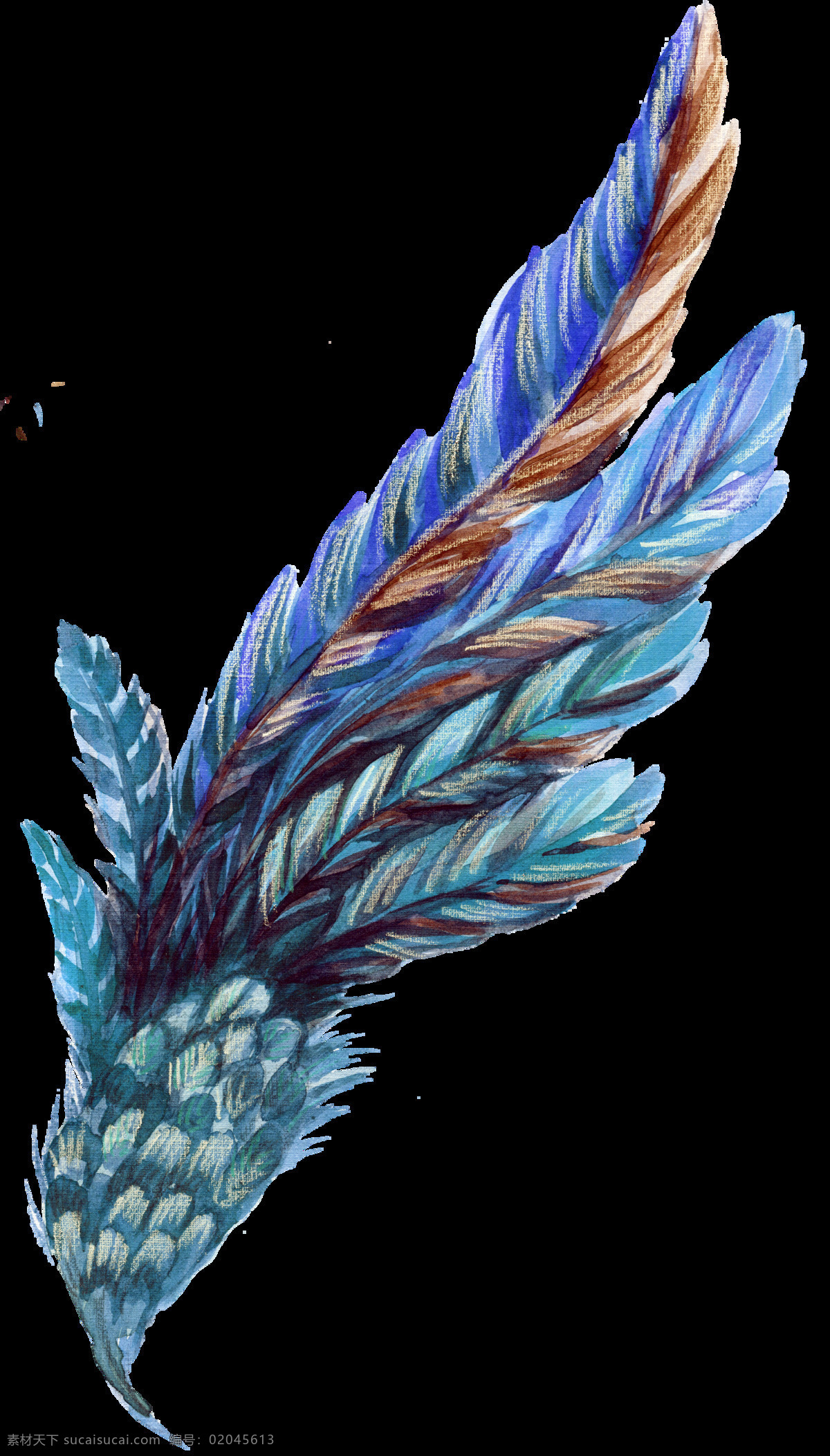 彩 蓝色 羽毛 图案 元素 png元素 彩色 免抠元素 透明元素