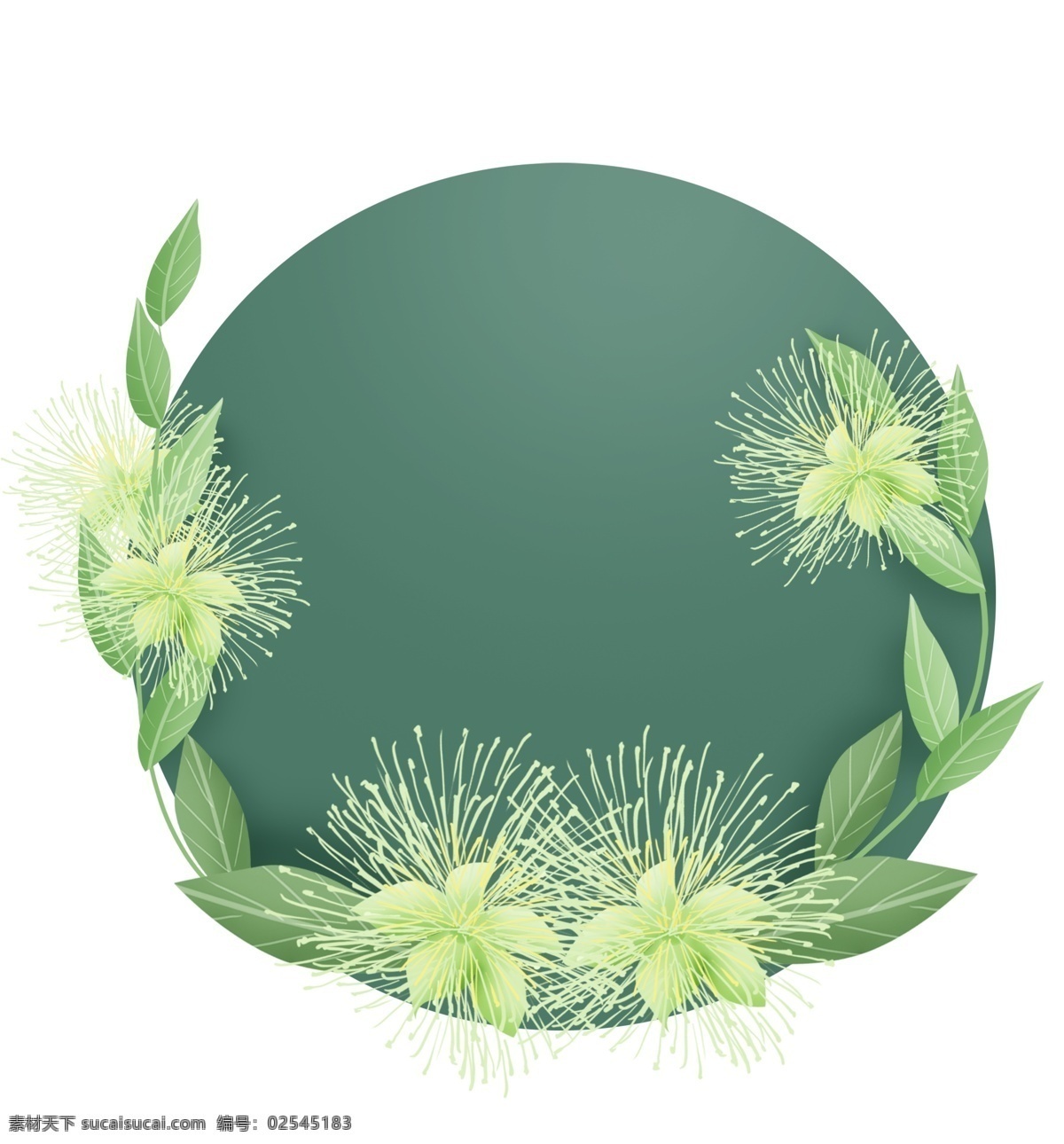 蒲 桃花 圆形 文字 框 春天标题框 春天 绿色 蒲桃花文字框 春季 立体 植物 叶子 花朵 留言本 蒲桃花对话框
