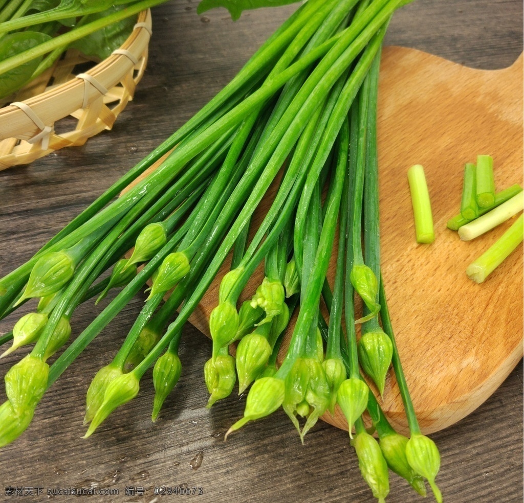 韭苔 韭菜花 韭花 韭菜 韭苗 餐饮美食 食物原料