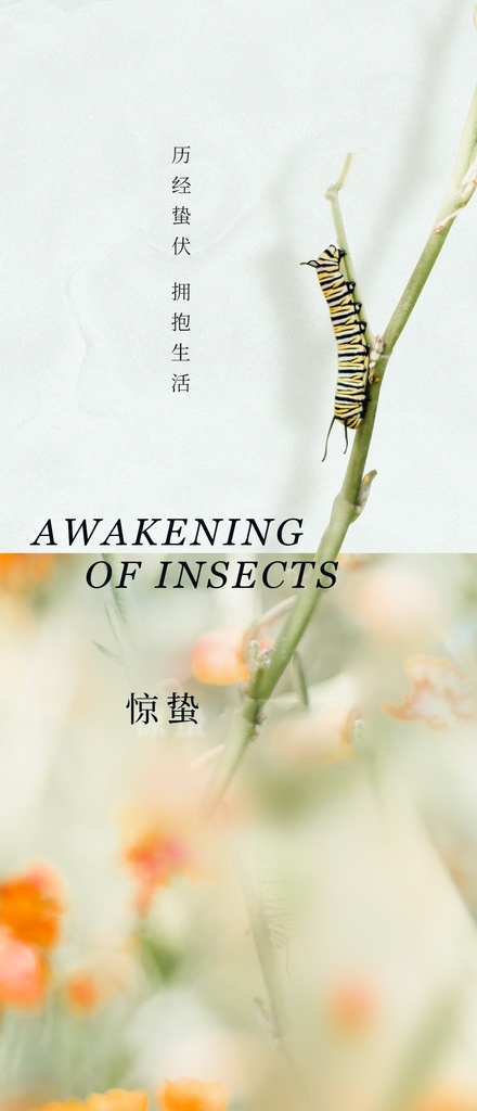 惊蛰节气 二十四节气 惊蛰 昆虫 花草 节气素材 春雷 发芽 节气海报 节气飞机稿