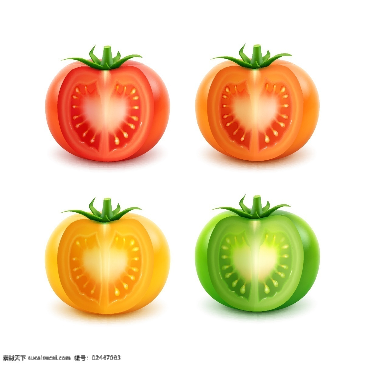 四 款 不同 颜色 西红柿 矢量 番茄 红色番茄 橙色番茄 黄色番茄 绿色番茄 食材 果蔬 文化艺术 绘画书法
