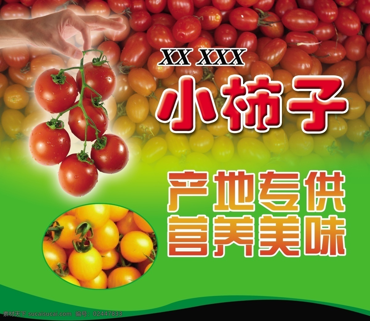 柿子 小柿子 产地专供 红色小柿子 营养美味 分层 源文件 绿色