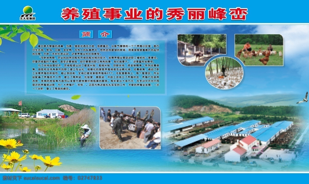 养殖 养殖场 养殖广告 花 蓝天白云 展板模板 广告设计模板 源文件