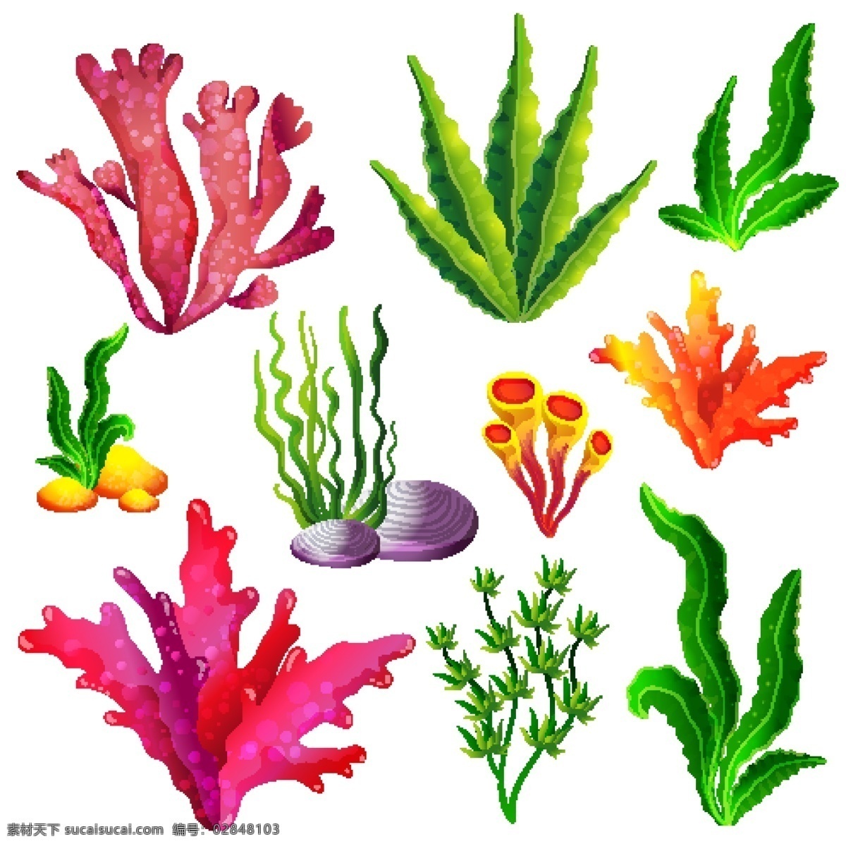 水草 珊瑚 时尚 可爱卡通 矢量素材 手绘 海洋生物 卡通海洋生物 矢量海洋生物 卡通海藻 卡通珊瑚 海底生物 海底世界 海底素材 大海