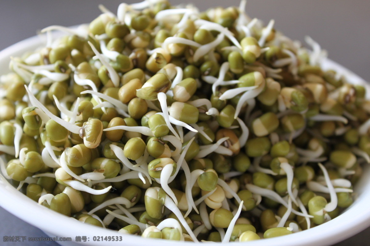 豆芽 黄豆 豆苗 绿豆 发芽 蔬菜 植物 美食 传统美食 餐饮美食