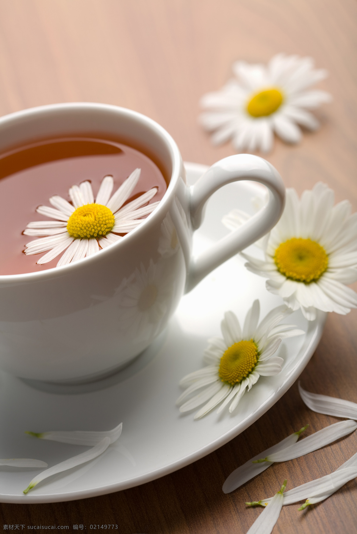花茶摄影 花茶 高清图片 摄影图片 茶 鲜花 玻璃杯 羹 玻璃茶杯 精美茶具 玻璃茶具 茶文化 茶具 茶道图片 餐饮美食 传统美食 摄影图库茶艺 餐具厨具 酒水饮料 白色