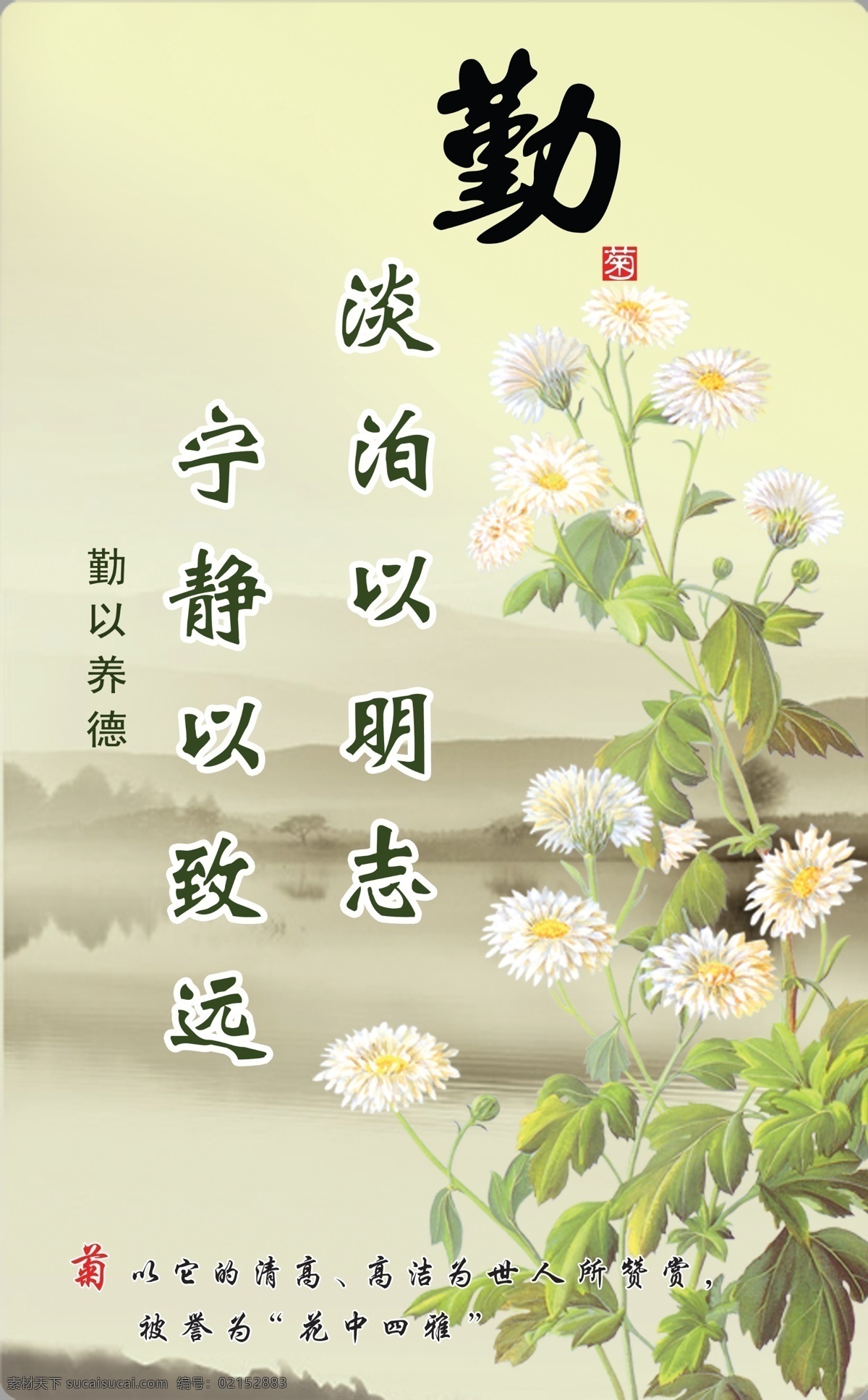 勤免费下载 菊 菊花 勤 淡泊以明志 宁静以致远 psd源文件