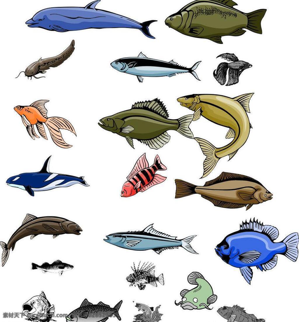 矢量 鱼类 素材图片 打包 打包下载 海洋生物 金鱼 鲨鱼 生物世界