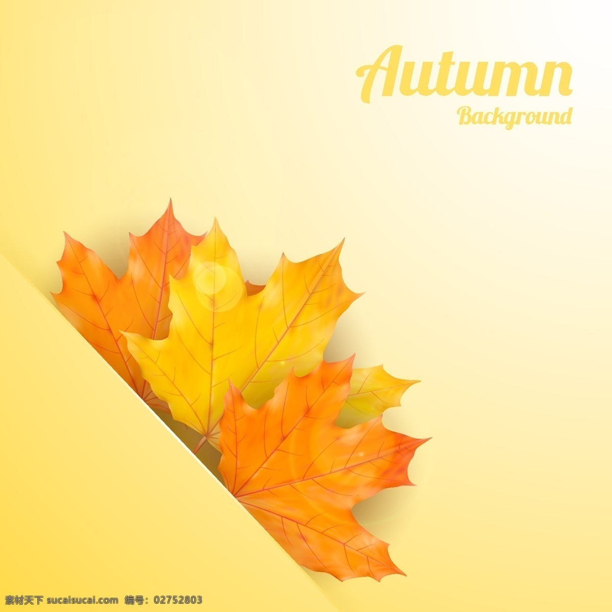 秋季 镶嵌 树叶 背景 矢量 嵌入 秋叶 枫叶 光晕 矢量图