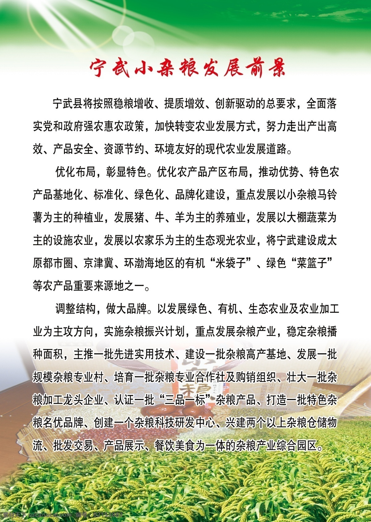 小杂粮画册8 小杂质 画册 发展前景 优化农产品 发展绿色产业 建设杂粮基地 特色杂粮