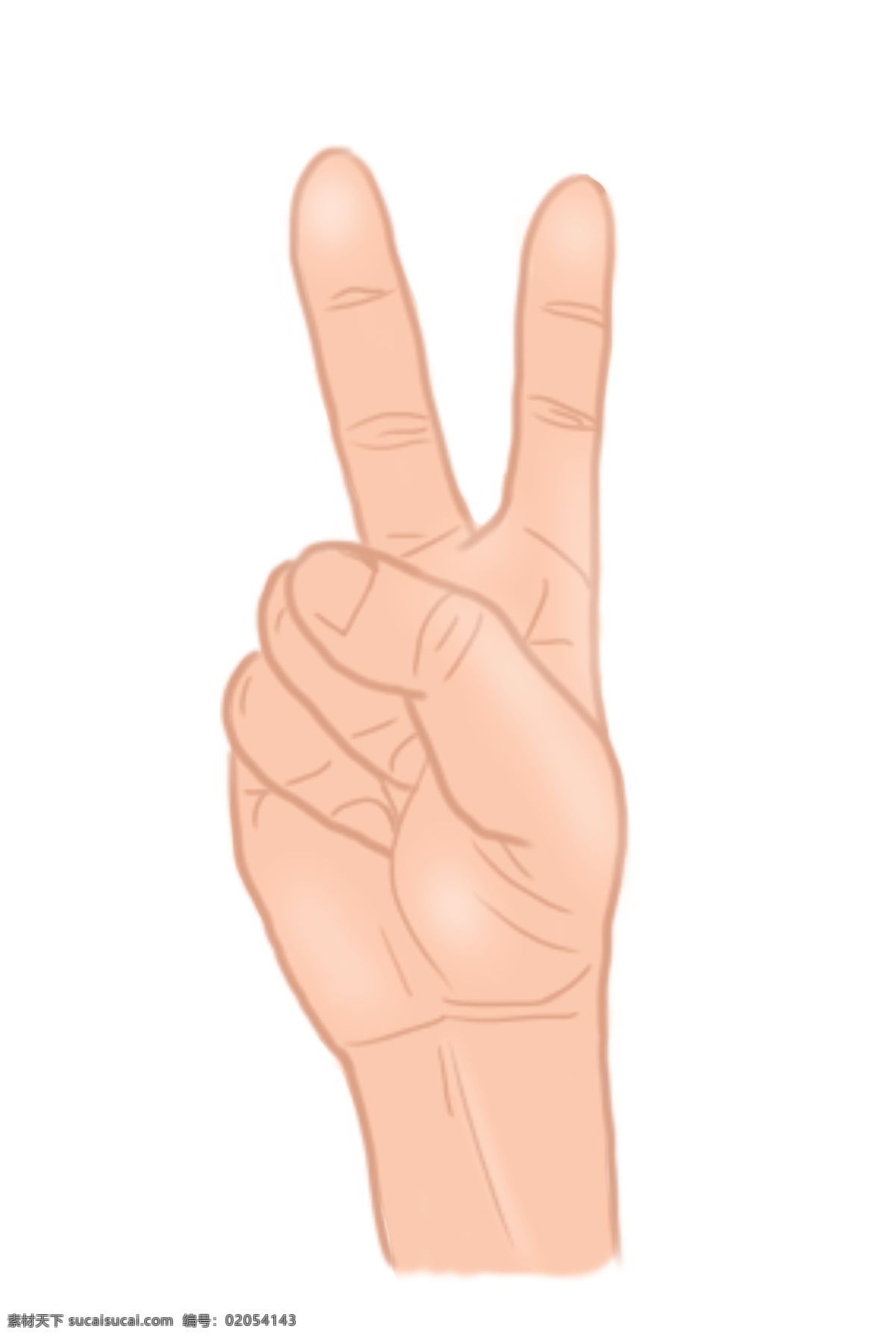成功 手势 卡通 插画 成功的手势 卡通插画 摆姿势 手势插画 肢体语言 手语的插画 数字2的手势