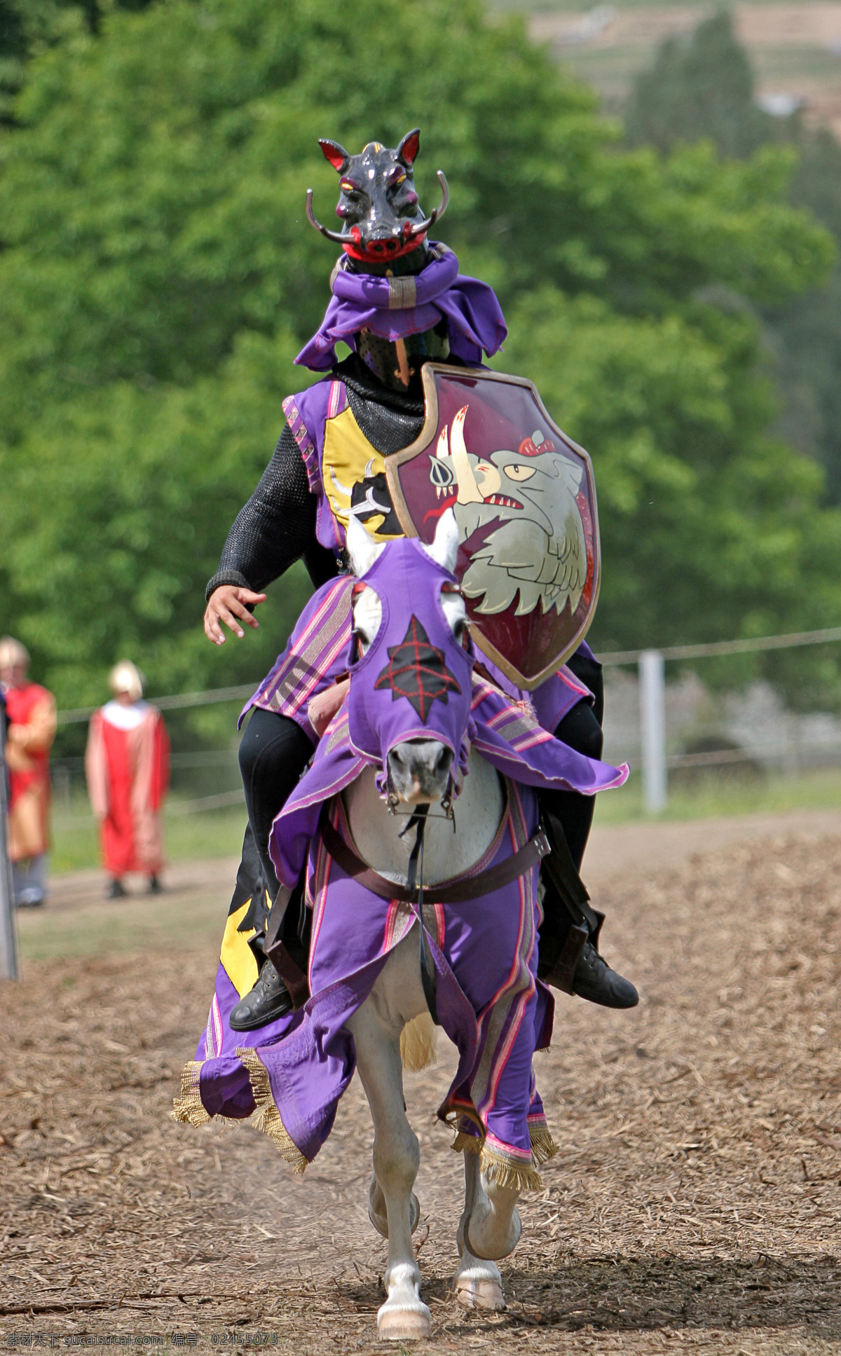 盾牌 骑士 骑士装 骑马 英勇 威武 头盔 全副武装 盔甲 其他人物 人物图片