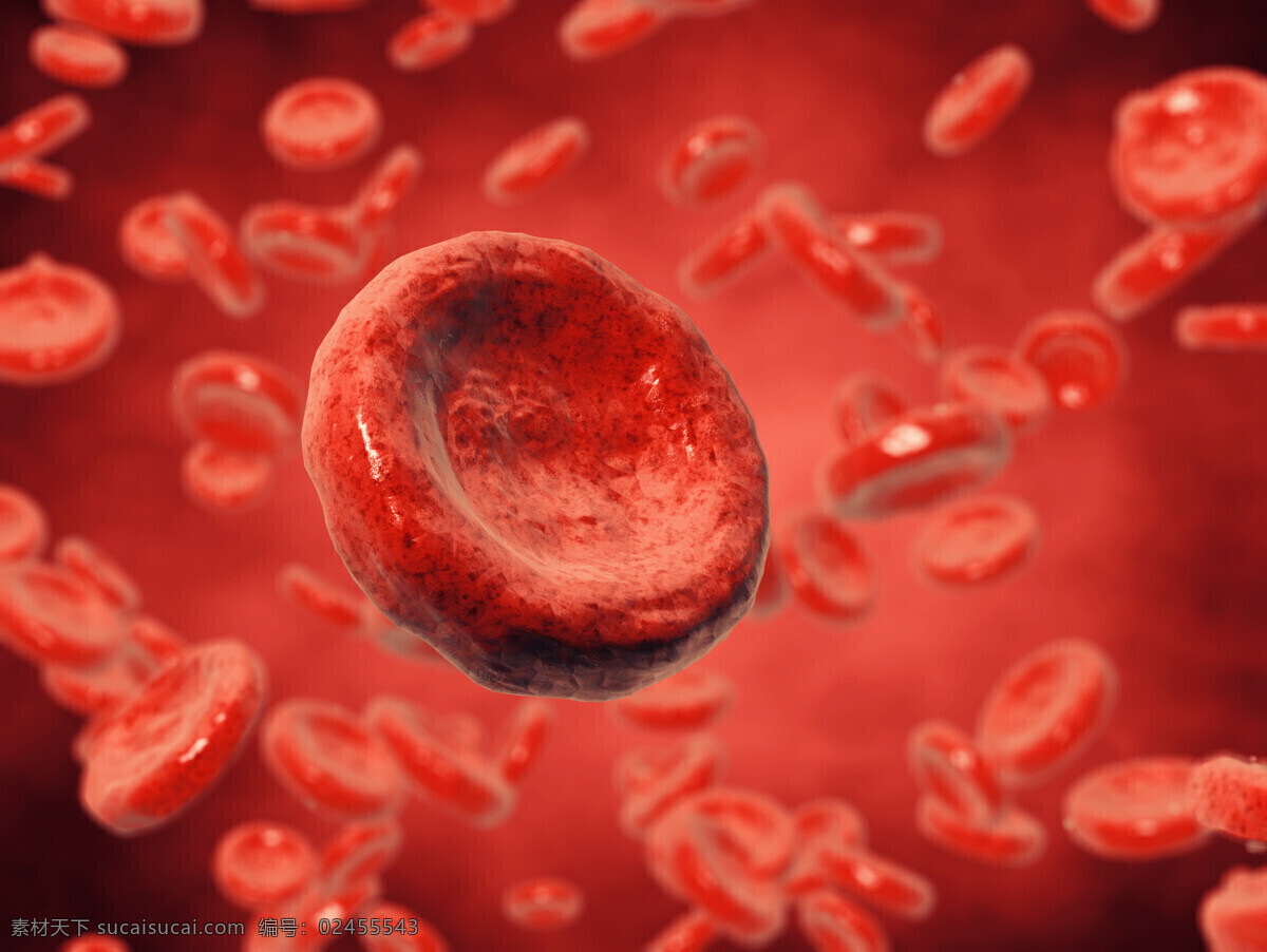 血液 中 红细胞 实验 医药 医疗 细胞图片 现代科技
