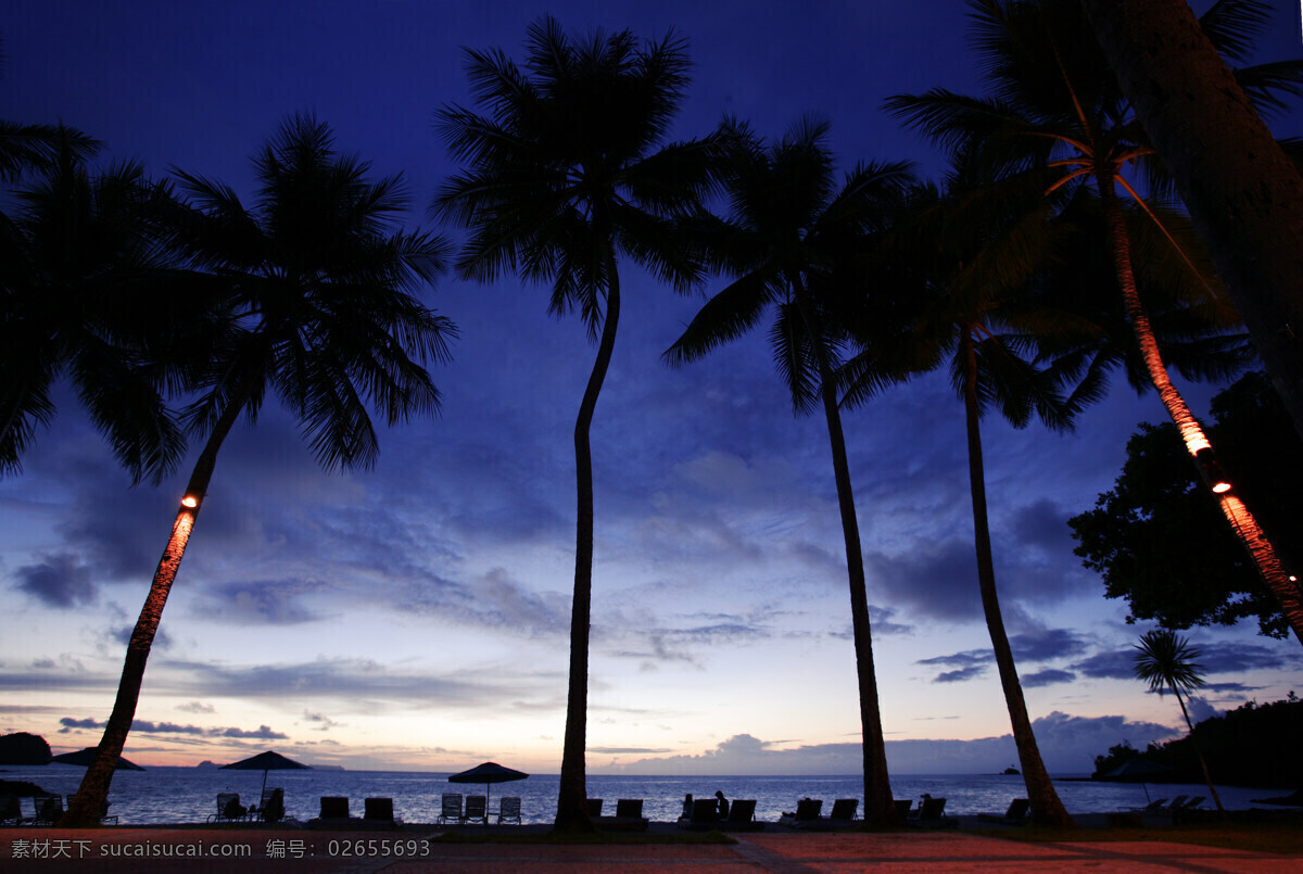 大自然 风景 海岸 海边 海边风景 海景 海水 黄昏 黄昏椰树 椰树 美景 自然景观 自然风景 生活 旅游餐饮